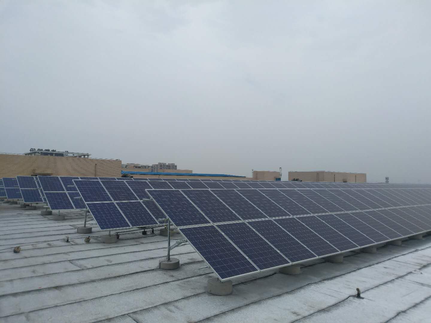 江蘇洛凱機(jī)電股份有限公司313.2KWp